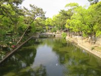 IMG_0549.JPG